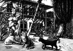 Hemingway House Pen and Ink