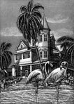 SV5 - Southernmost House with Flamingo Pen and Ink